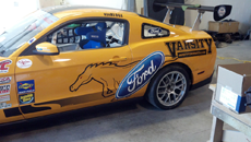 Decal  Installation horse